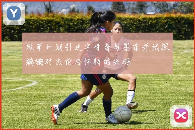 绿军计划引进字母哥与墨菲并试探鹈鹕对杰伦与怀特的兴趣