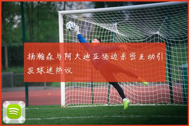 杨瀚森与阿夫迪亚场边亲密互动引发球迷热议